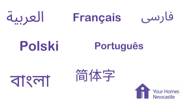 Info in other languages